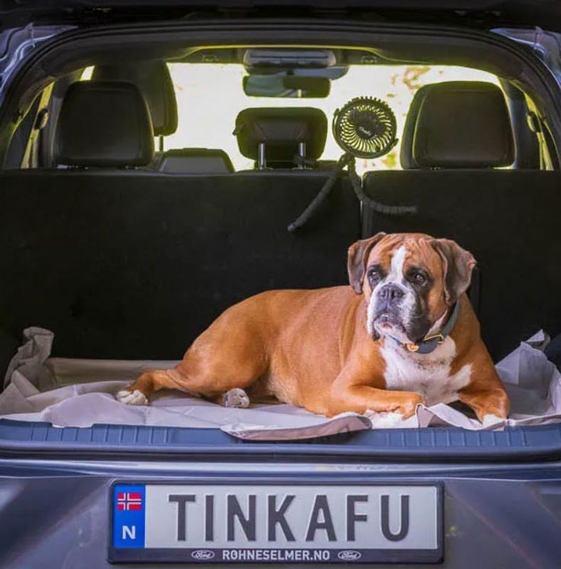 Tinkafu - Gulvmatte 90x145cm Svart